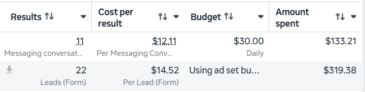Ads Manager row showing 22 Medicare form leads at $14.52 per lead with $319.38 spent